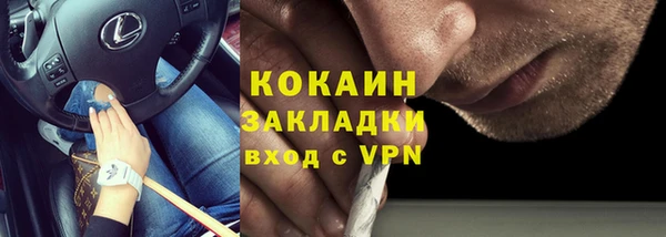 мяу мяу кристалл Иннополис