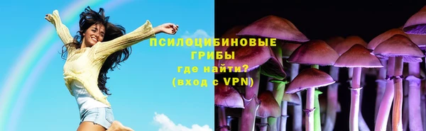 метадон Инсар