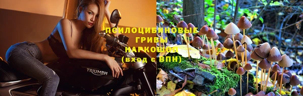 каннабис Инта