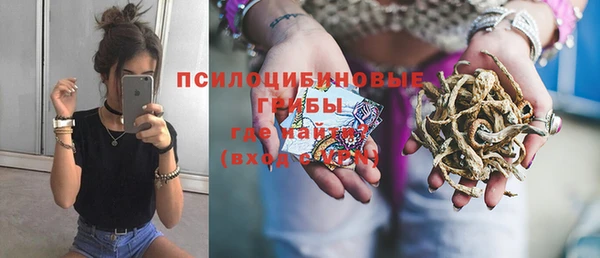 метадон Инсар